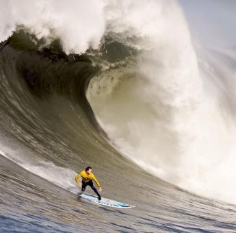 荷甲夏窗最新（荷甲联赛最新消息）